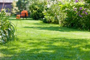 travaux jardin et paysage Puginier